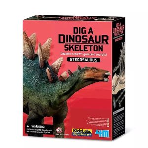 Kidz Labs / Stegosaurus Skeleton